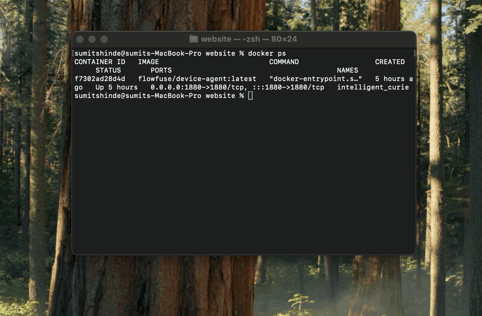 CLI: Showing the result of docker ps indicating device agent is running correctly